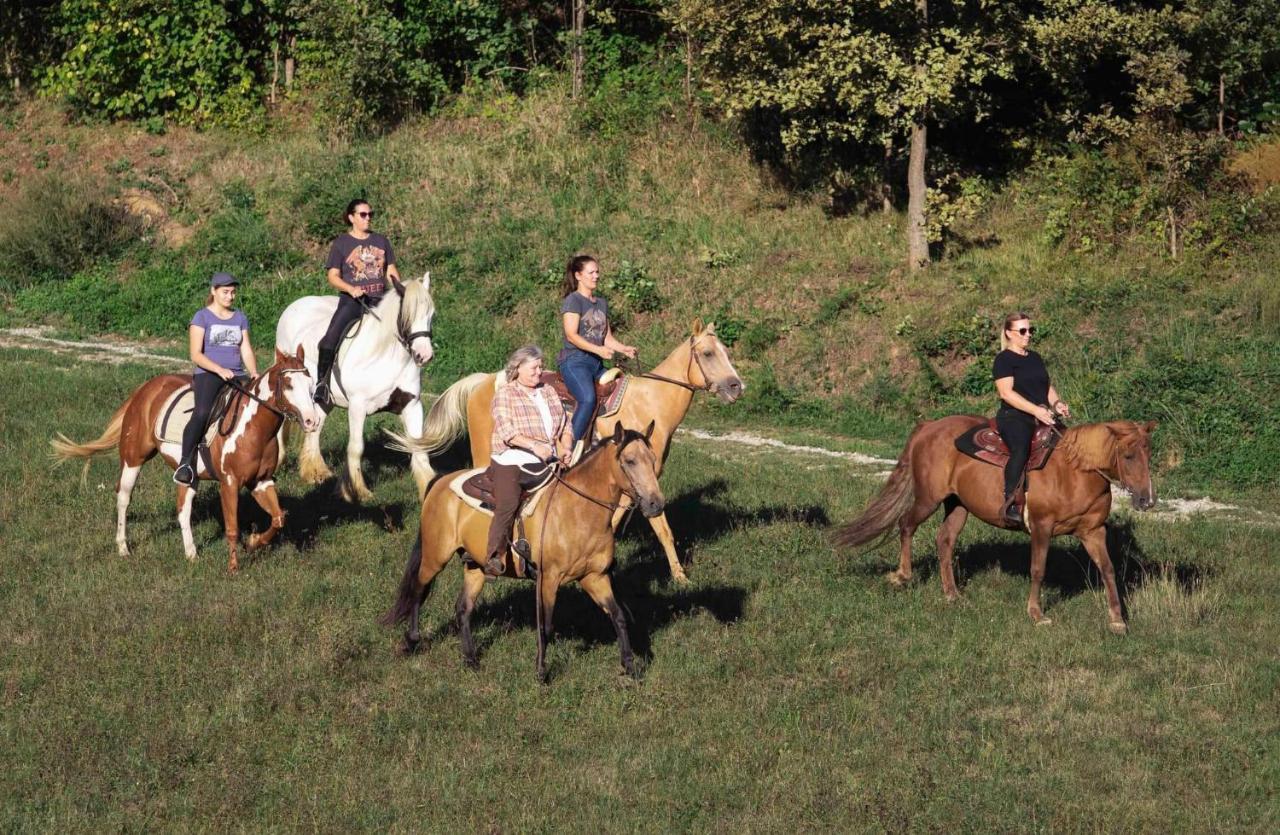Little Forest Ranch, Pur Mit Reitmoeglichkeit Duga Resa
