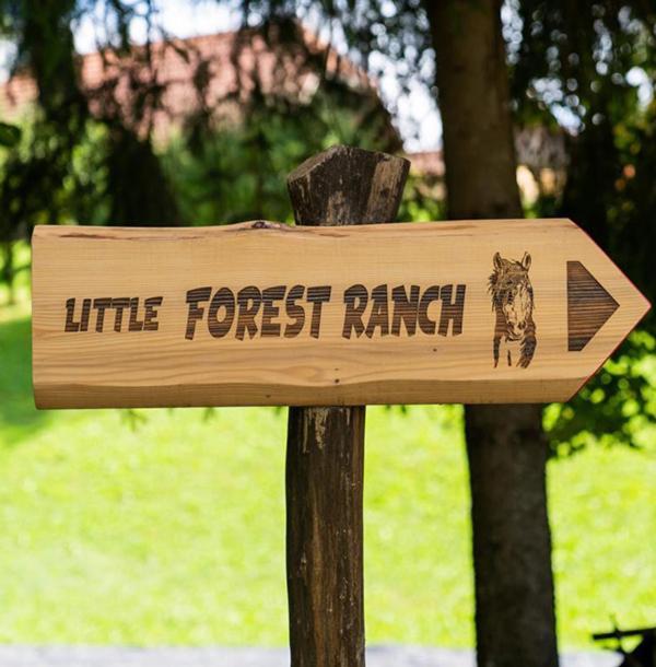 Little Forest Ranch, Pur Mit Reitmoeglichkeit Apartment Duga Resa